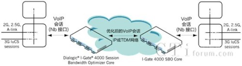 3G �ƄӾW(w��ng)�j(lu��) Nb VoIP ��Ԓ��(y��u)��